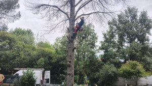 Photo de galerie - Démontage 