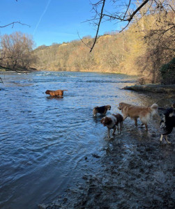 Photo de galerie - Balade au bord de la Garonne 