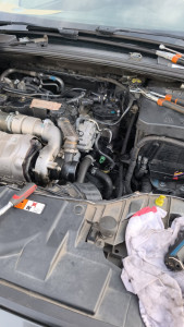 Photo de galerie - Changement du boîtier thermostat sur Focus 2015 1.6tdci 