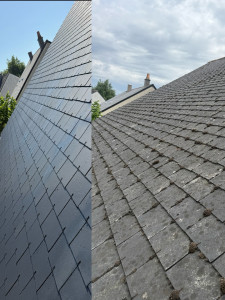 Photo de galerie - Peinture - Tapisserie