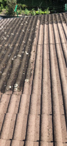 Photo de galerie - .