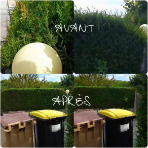 Photo de galerie - Paysagiste - Aménagement du jardin