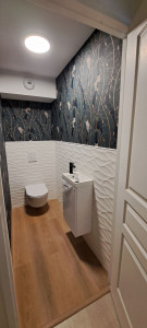 Photo de galerie - Rénovation toilette complet 