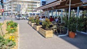 Photo de galerie - Création bac à fleurs avec plantation de photinia en haie pour restaurant 