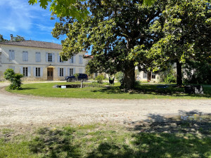 Photo de galerie - Tonte  et débroussailleuse 