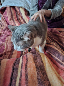 Photo de galerie - Janvier 2026