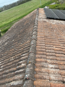 Photo de galerie - Couverture - Toiture