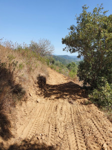 Photo de galerie - Réfection d'accès, plantation d'arbres, 
