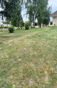 Photo de galerie - Tonte de pelouse 