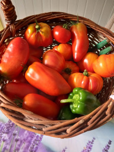 Photo de galerie - Popote au potager 