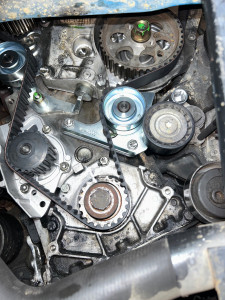 Photo de galerie - Distribution