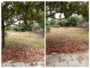 Photo de galerie - Débroussaillage 