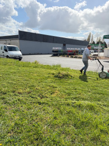 Photo de galerie - Tond de pelouse