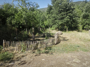 Photo de galerie - Création d'une haie fruitière et pose de ganivelles sur Saint Privat 