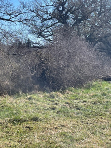 Photo de galerie - Avant 