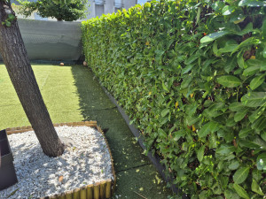 Photo de galerie - Taille de haies et d'arbustes