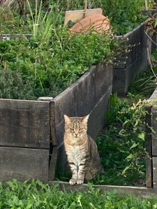 Photo de galerie - Chez moi à Douvaine 