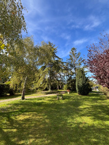 Photo de galerie - Tonte pelouse