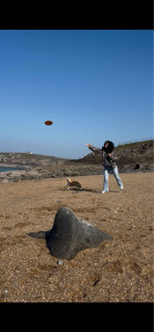 Photo de galerie - Garde de chien