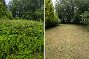 Photo de galerie - Remise en état d’un terrain laisser à l’abandon, envahi par les ronces