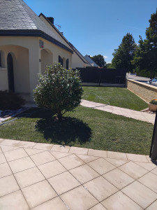 Photo de galerie - Paysagiste - Aménagement du jardin