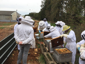 Photo de galerie - Séance pédago