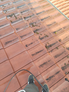 Photo de galerie - 
Nettoyage du toit