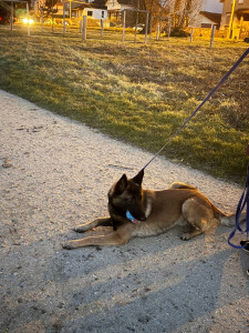 Photo de galerie - Jeux éducatifs avec Timi - 01/26 
