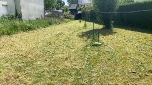 Photo de galerie - Défrichage 