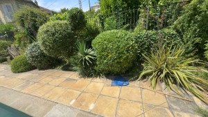 Photo de galerie - Taille nettoyage 