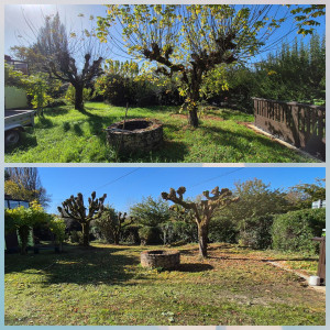 Photo de galerie - Tontes de pelouse, debroussaillage, entretien des arbres, coupe de haies. 