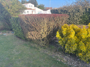 Photo de galerie - Désherbage 