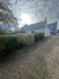 Photo de galerie - Taille haie 