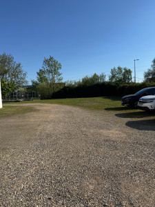 Photo de galerie - Tonte