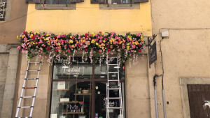 Photo de galerie - Installation de fleurs sur façade 