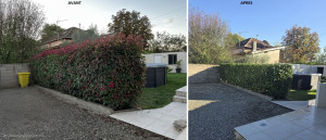 Photo de galerie - Taille de haies et d'arbustes