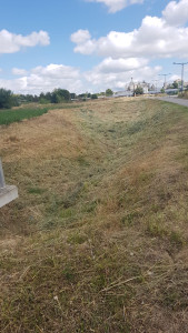 Photo de galerie - Débroussaillage d’un bassin 