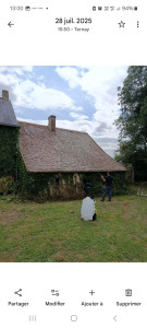 Photo de galerie - Après des Moussages Manuel et traitements