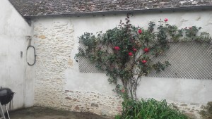 Photo de galerie - Bricolage et multi services
