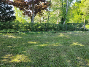 Photo de galerie - élagage tonte débroussaillage 