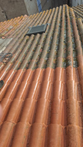 Photo de galerie - Nettoyage de toiture 