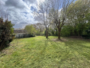 Photo de galerie - Première tonte avec finition 