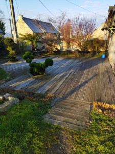 Photo de galerie - Entretien et taille de topiaires et d'arbustes sur une terrasse 