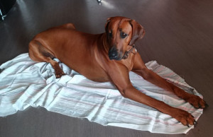 Photo de galerie - Jolie !