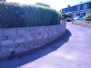 Photo de galerie - Mur en parpaing 