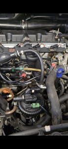 Photo de galerie - Culasse neuve reposée sur le 2.0 hdi