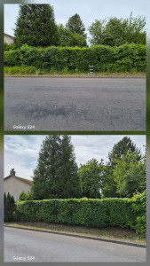 Photo de galerie - Taille de haies et d'arbustes
