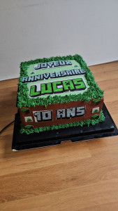 Photo de galerie - Thème Minecraft 