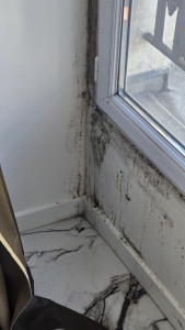 Photo de galerie - Moisissure avant