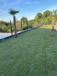 Photo de galerie - Après